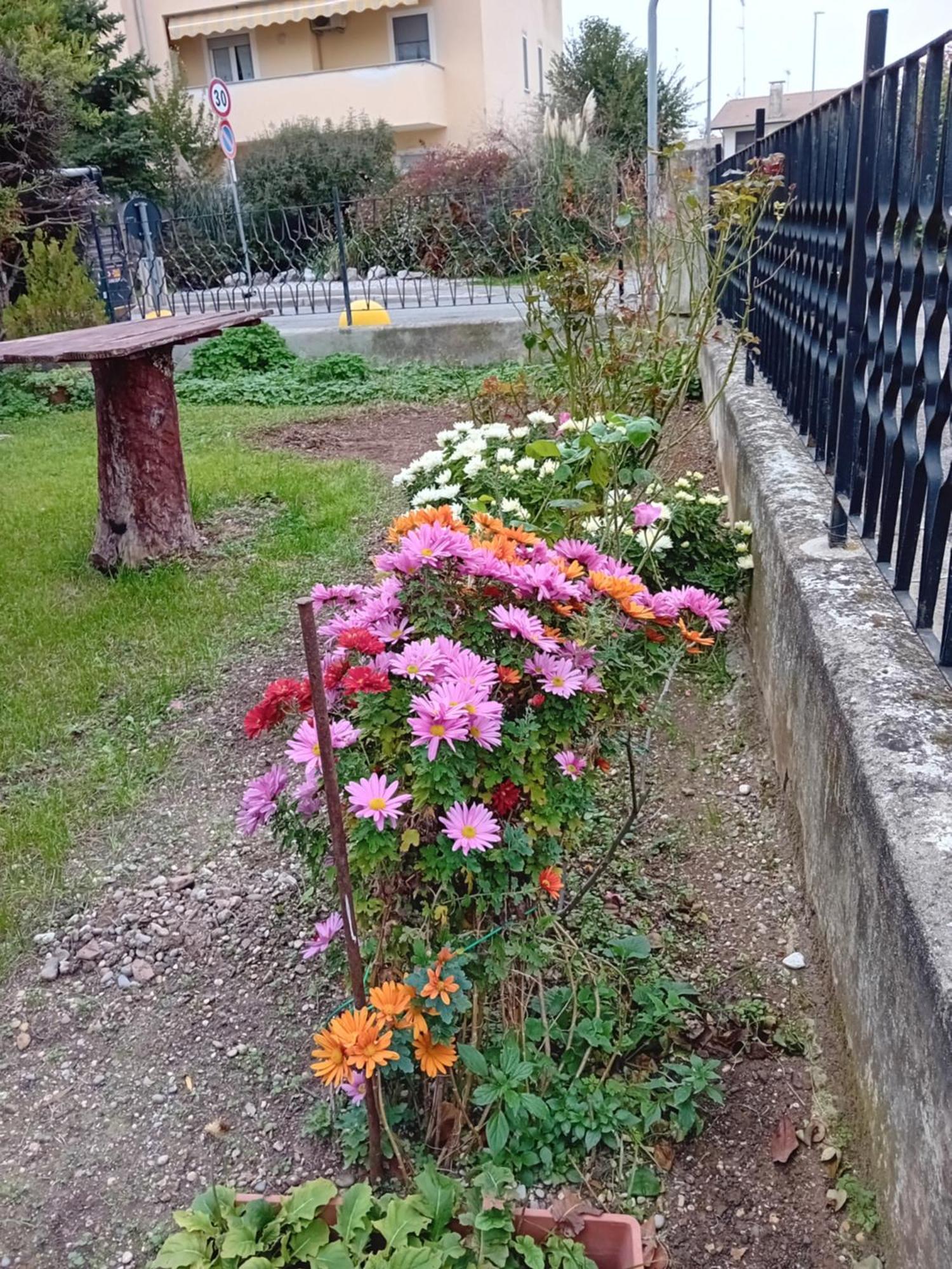 Villa Azzurra Monfalcone Luaran gambar