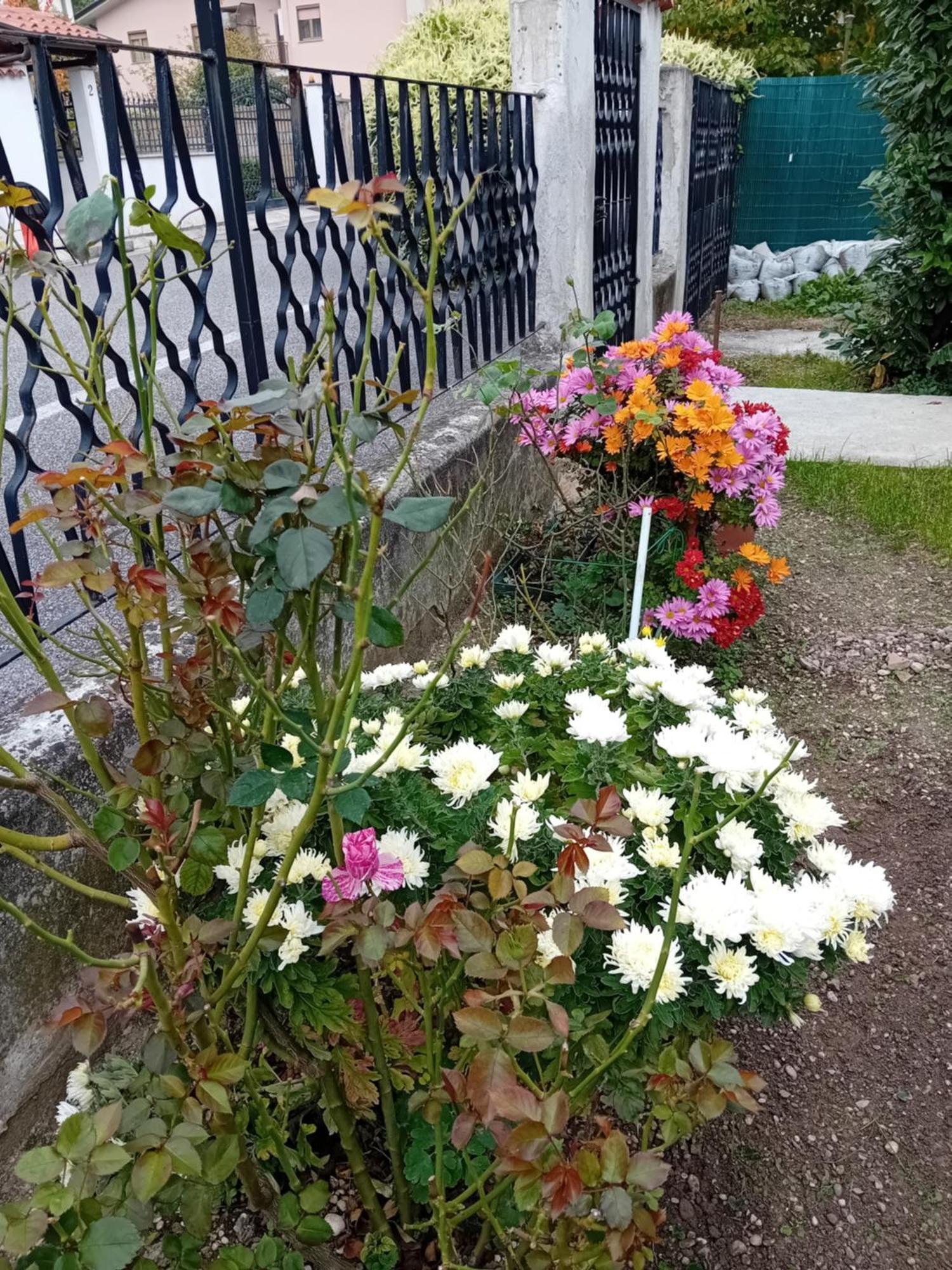 Villa Azzurra Monfalcone Luaran gambar